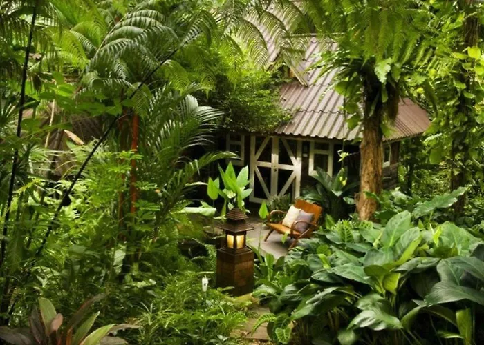 Rain Forest Resort Phitsanulok Ban Pak Yang