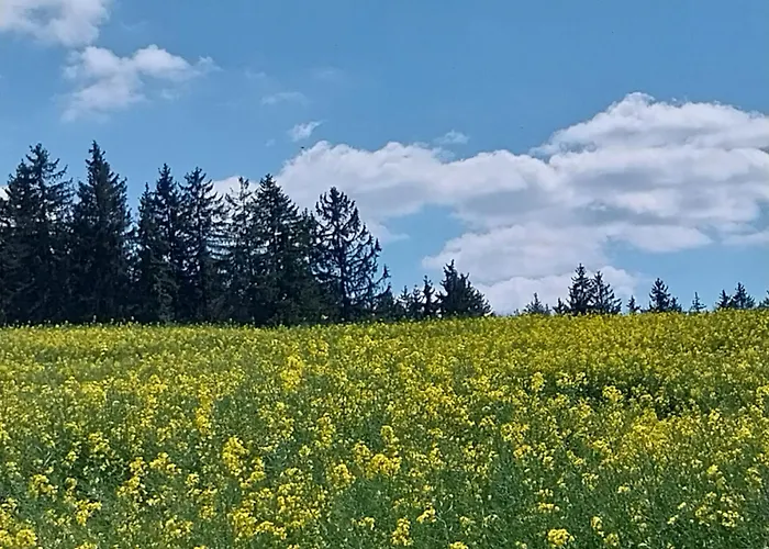 Landgasthof Neitsch Schwarzenberg/Erzgebirge