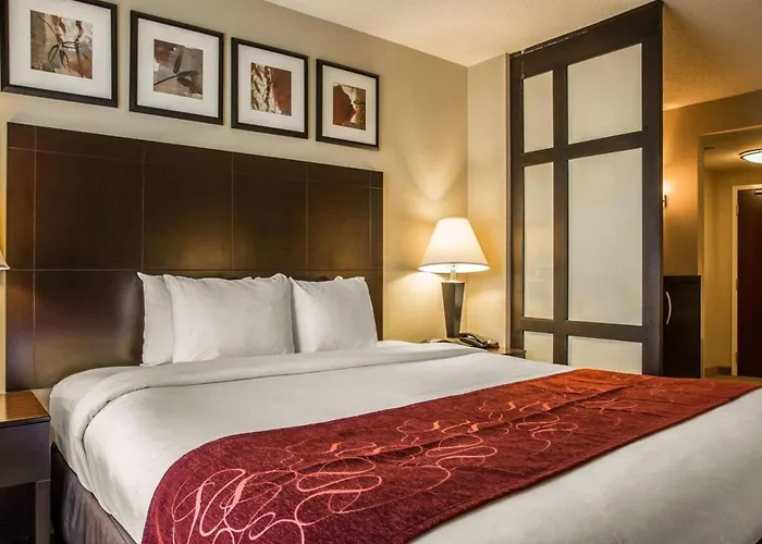 Comfort Suites Huntersville Near Lake Norman