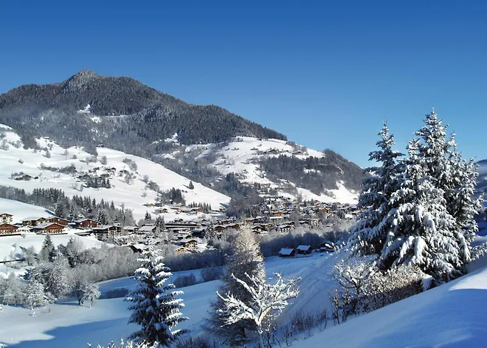 Hotel Belambra Clubs Praz-Sur-Arly - L'Alisier