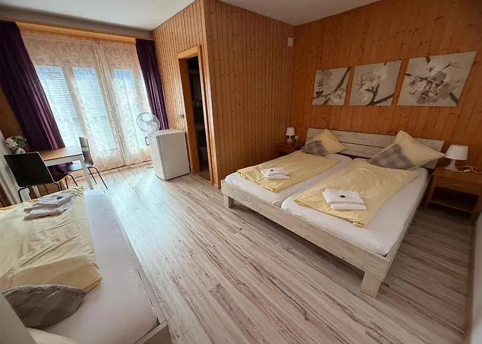 Hotel Hasli Meiringen