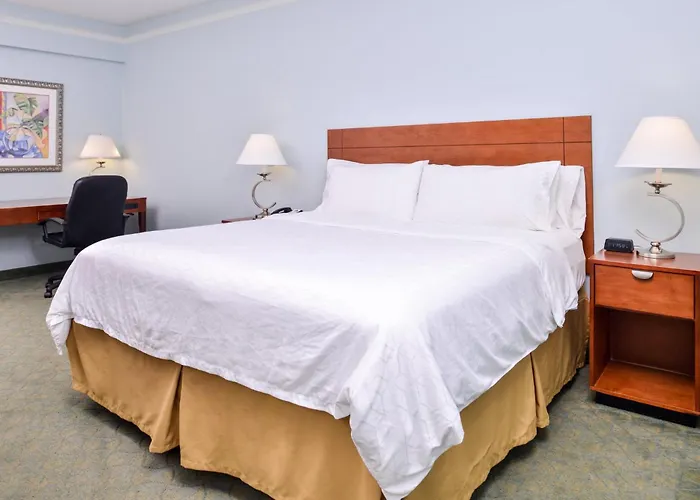 Holiday Inn Express Tampa North Telecom Park By Ihg Temple Terrace