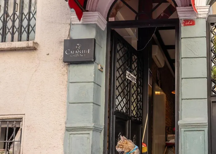 Calanthe Residence İstanbul