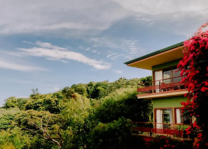 Ficus Sunset Suites Monteverde