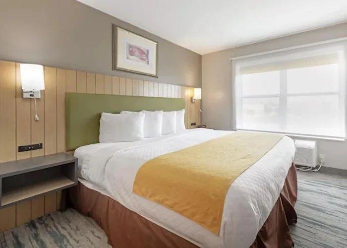 Country Inn & Suites By Radisson, Lewisville, Tx