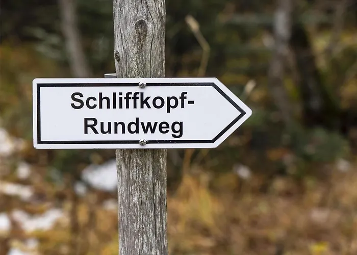 Wellness-& Nationalpark Hotel Schliffkopf, Bwsc Baiersbronn