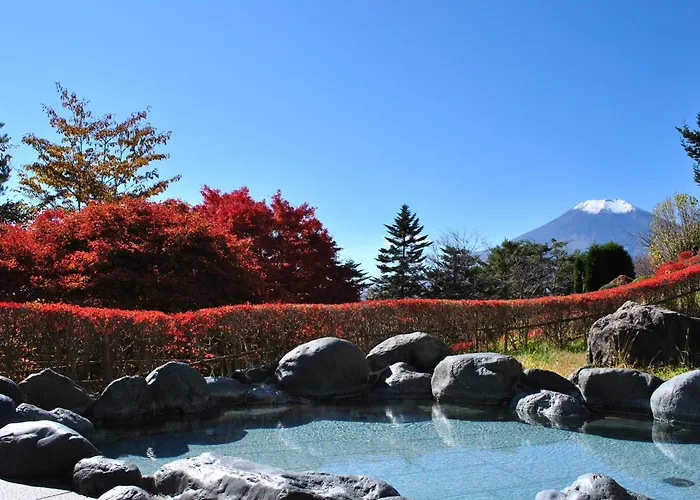 Hotel Mt. Fuji Yamanakako