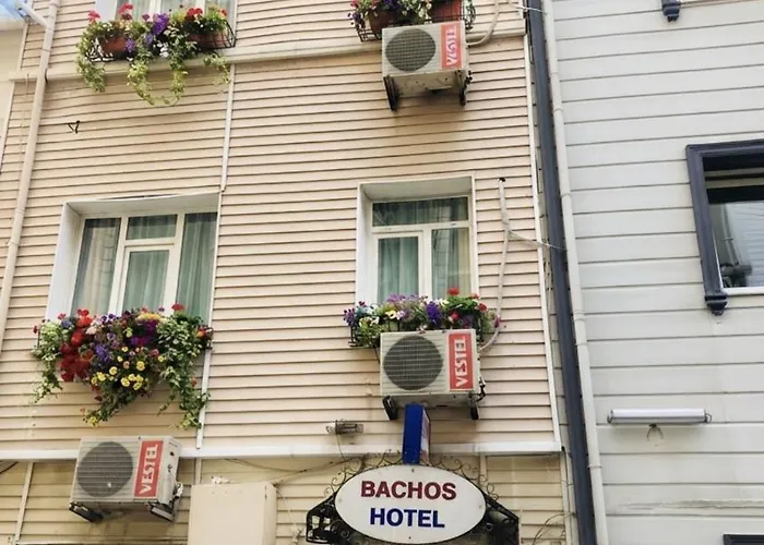 Bachos Hotel Sultanahmet Enjoy Breakfast On The Sea View Terrace İstanbul
