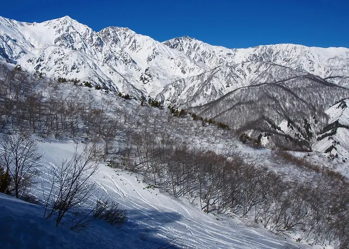 Schole Hakuba Hotel