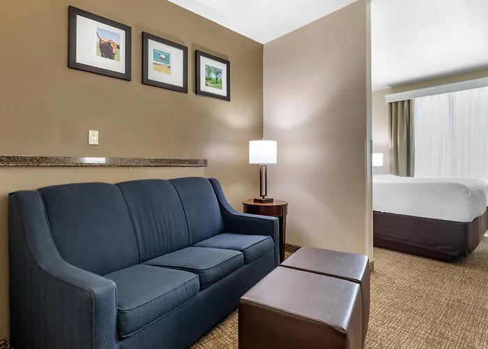 Comfort Suites Plano - Dallas North