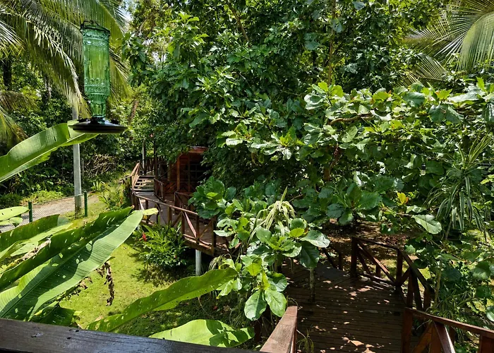 Oasis Bluff Beach Bocas del Toro