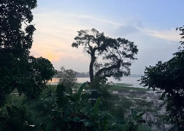 Lake Cabin Polonnaruwa