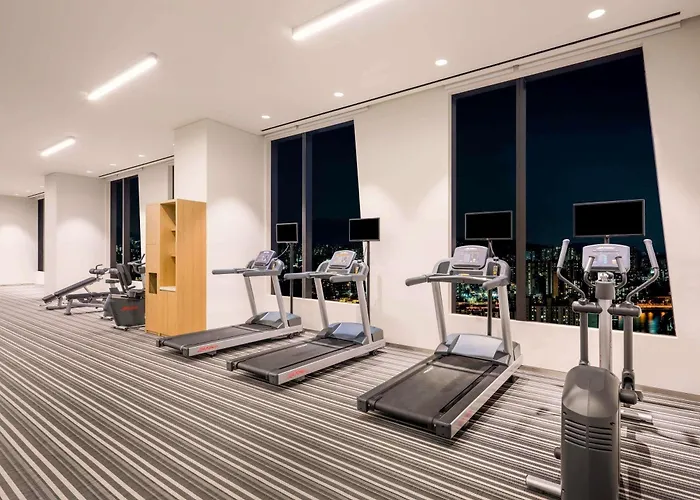 Ibis Styles Ambassador Seoul Yongsan Hotel