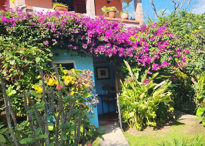 Cocoa Pod Studio Soufriere
