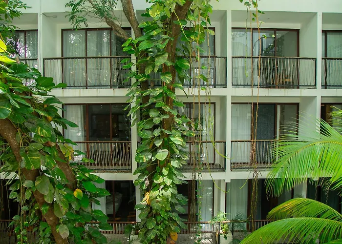 Hotel Blanco Tulum Adults Only