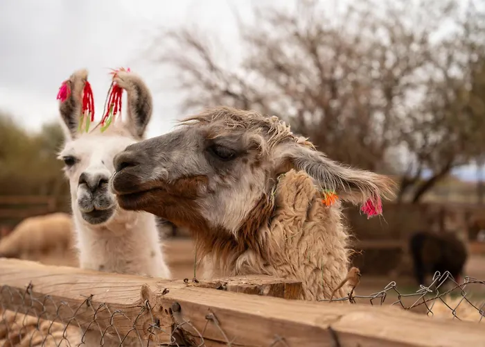 Noi Casa Atacama Hotel San Pedro de Atacama