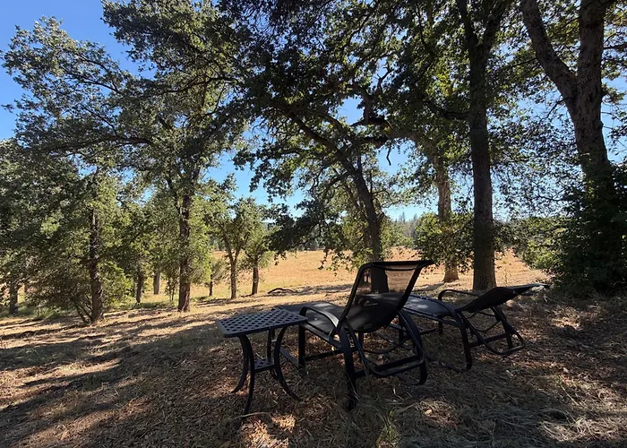 Red Tail Ranch Bed & Breakfast Groveland