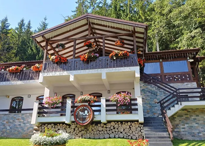 Cabana Schiori Sinaia