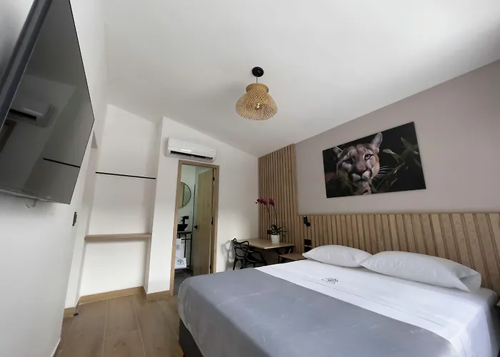 Vita Hotel Boutique - Aire Acondicionado & Desayuno Medellin