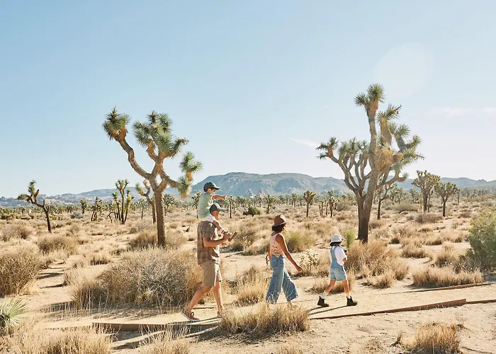 Autocamp Joshua Tree Hotel