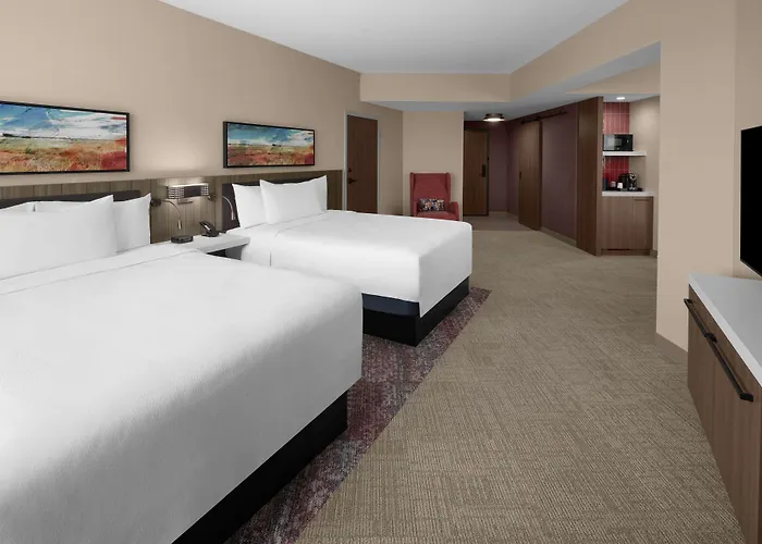 Hilton Garden Inn Grand Prairie At Epiccentral
