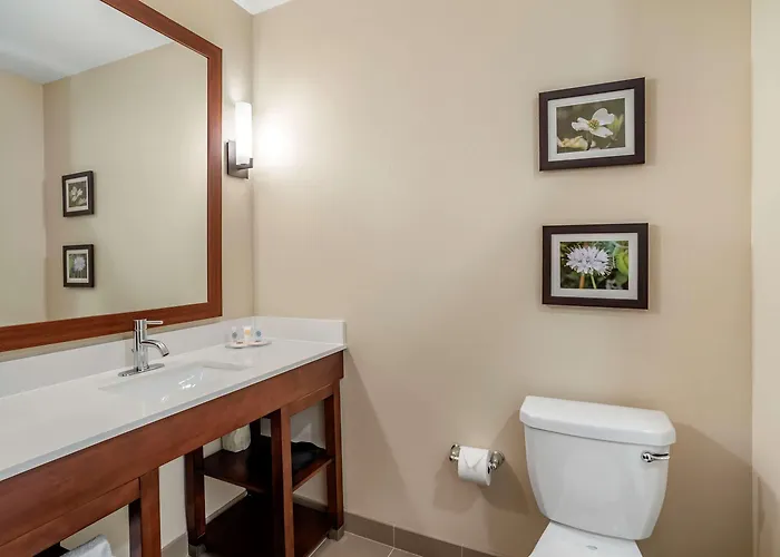 Comfort Inn & Suites Winchester