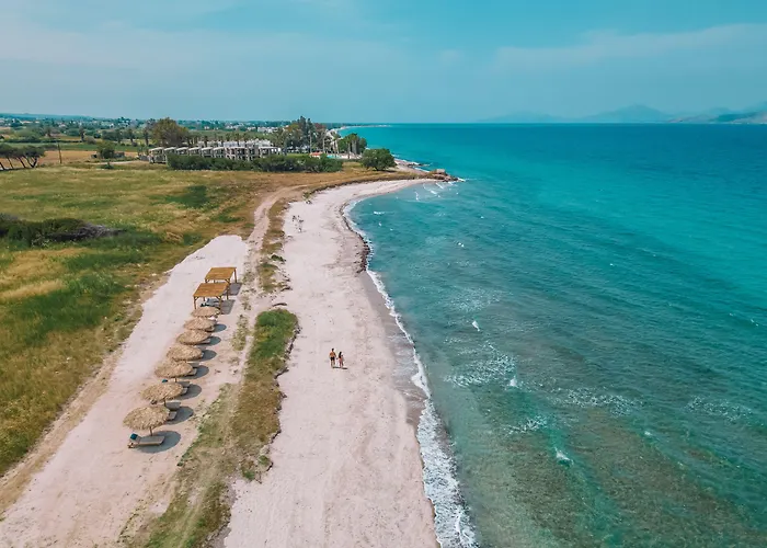 Taf Beach Villas With Tesla Tigaki