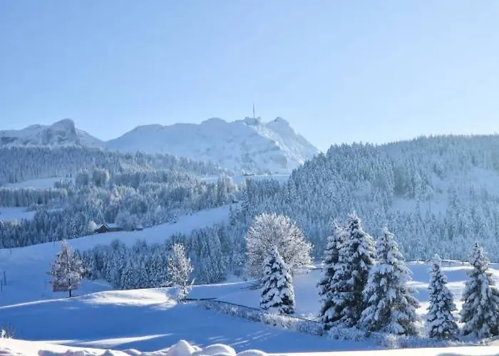 Appenzeller Huus Loewen Hotel Gonten