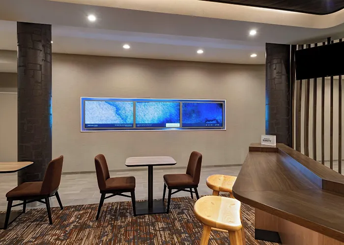 Springhill Suites By Marriott Dallas Richardson/University Area Cowley