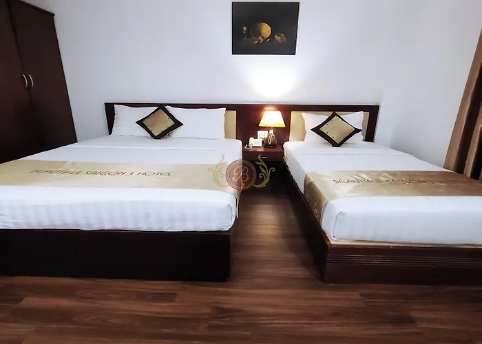 Beautiful Saigon Hotel Hô Chi Minh-Ville