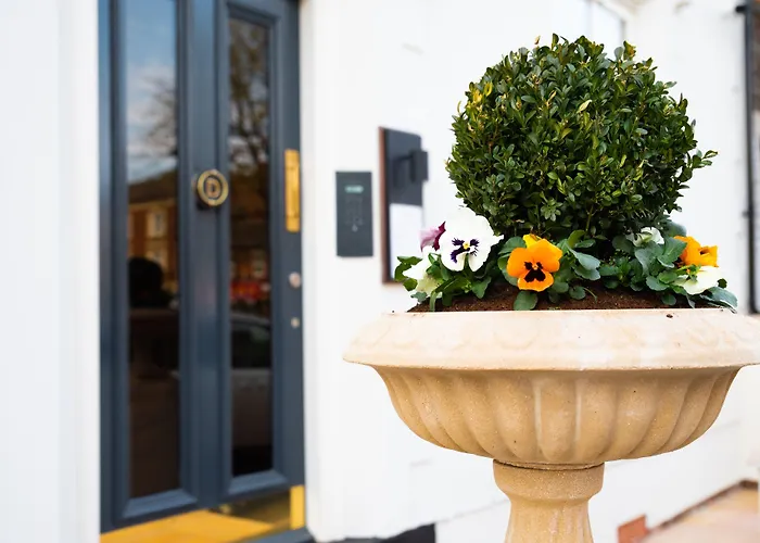 Domo Boutique Hotel Oldbury 
