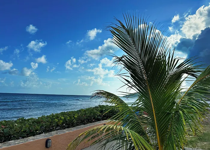 Grapetree Bay Hotel And Villas Christiansted