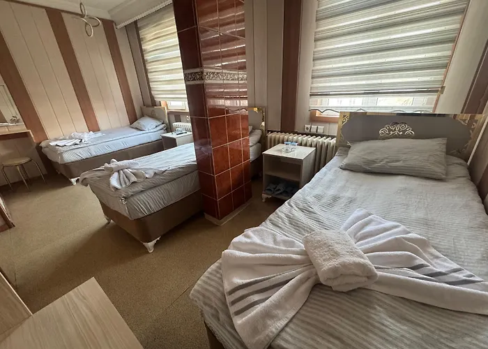 Otel Bueyuek Dogu Erzurum