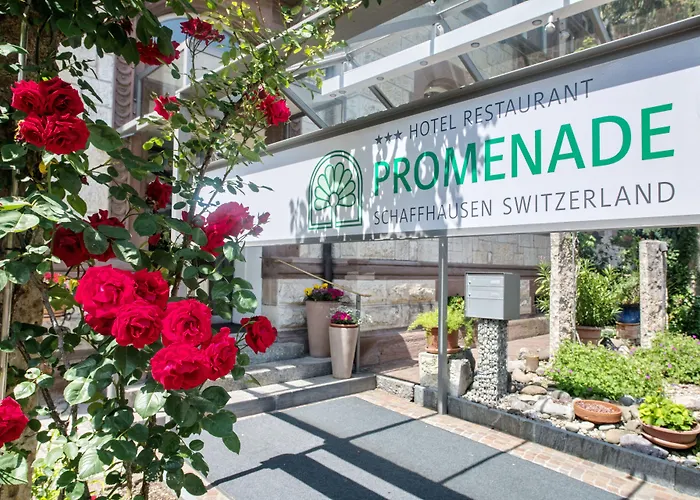 Hotel Promenade Schaffhausen