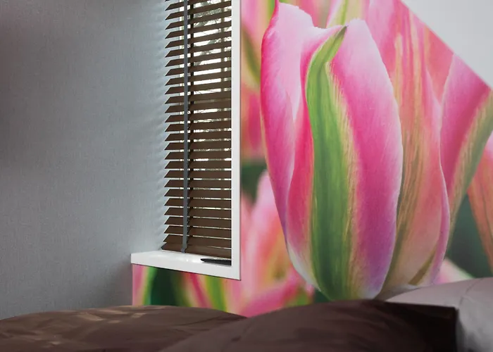 House Of Tulips Hotel Hillegom