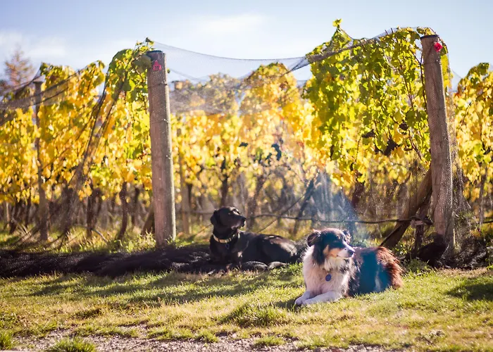 Gibbston Valley Lodge And Spa Queenstown