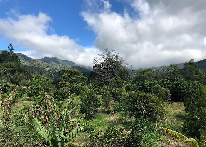 Buena Vista Boquete Hotel
