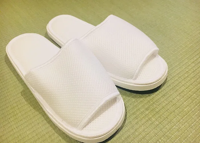 Tosei Hotel Cocone Ueno Okachimachi Tokio