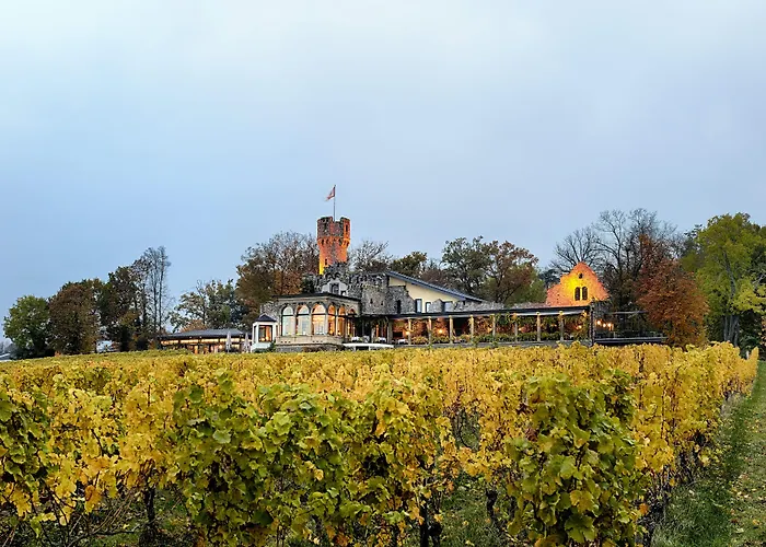 Burg & Gaestehaus By Schwarzenstein Geisenheim