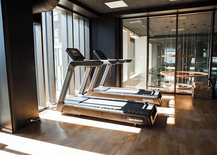 Peak 12 Hotel Viborg
