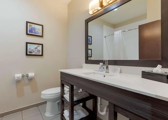 Comfort Inn & Suites Balch Springs - Se Dallas