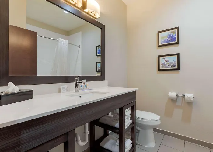 Comfort Inn & Suites Balch Springs - Se Dallas