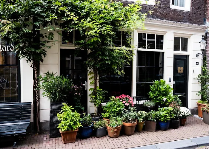 The Blossom House Amsterdam