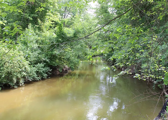Rivertown Inn Gladwin