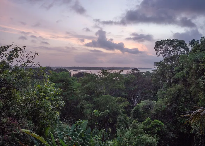 La Loma Jungle Lodge And Chocolate Farm Bocas del Toro