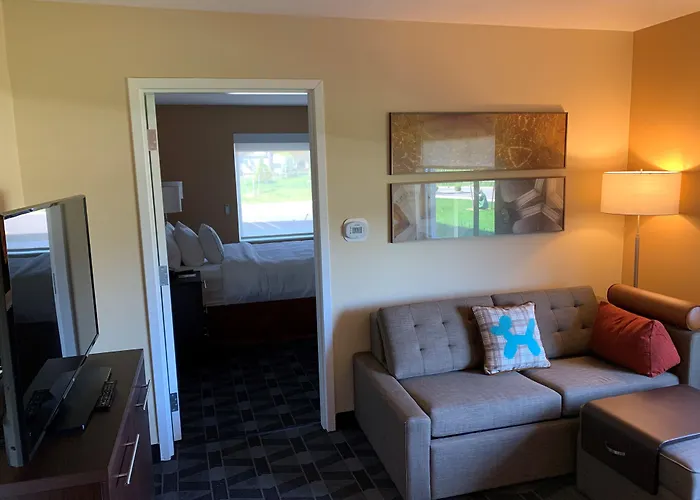 Towneplace Suites By Marriott Detroit Belleville