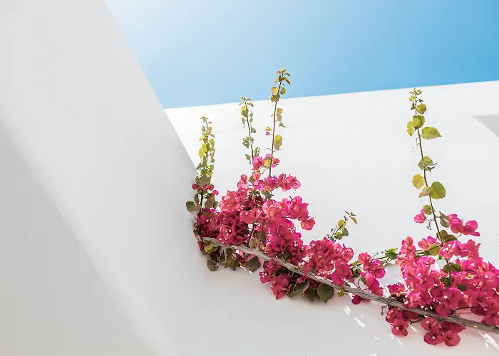 Bohemian Luxury Boutique Hotel, Adults Only Naousa 