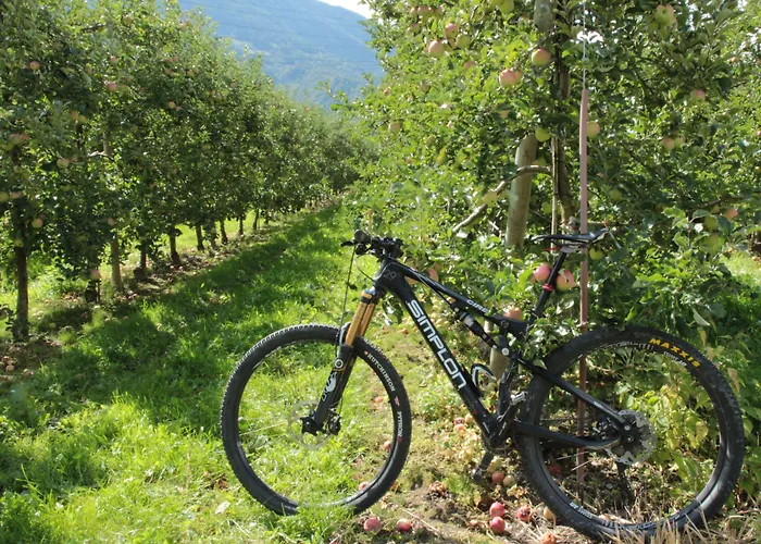 Bed and Breakfast Castel De Daval Sierre