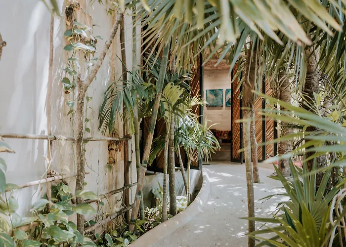 Hotel Orchid House Tulum Jungle