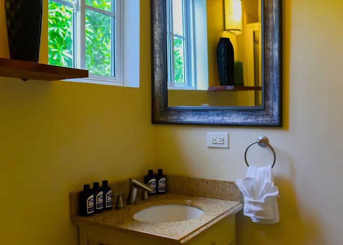Blue Paloma Bed & Breakfast Lucea